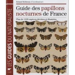  La Danse des Papillons Nocturnes: Une Exploration Vibrante de la Symbolique et du Mystère!